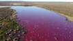 Argentine : une lagune devient rose à cause des déchets