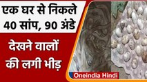 Santkabir Nagar के इस घर से निकले 40 Snakes & 90 Eggs, देखने वालों की लगी भीड़ | वनइंडिया हिन्दी