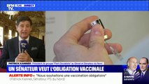 Covid-19: le sénateur socialiste Patrick Kanner veut rendre la vaccination obligatoire pour tous