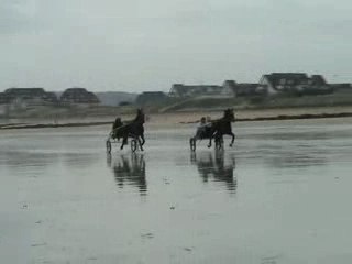 Trot attelé  sur la plage de cabourg