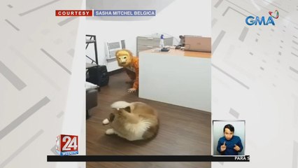 Usapang Pets: Fur mom, nag-prank sa kanyang mga alagang aso | 24 Oras Weekend