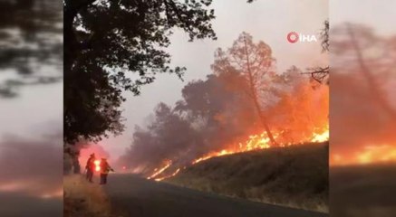 ABD'nin California eyaletindeki orman yangını günlerdir sürüyor