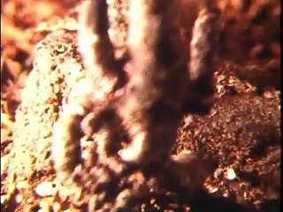 STOPMOTION ANIMATION "BORN BY MYSELF" Created by WORKU TEAM