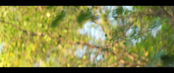 Falling - Storia di un padre (trailer HD)