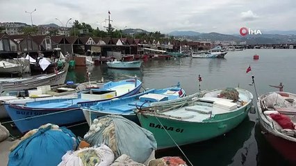 Mezgit, tarihinin en yüksek fiyatını gördü