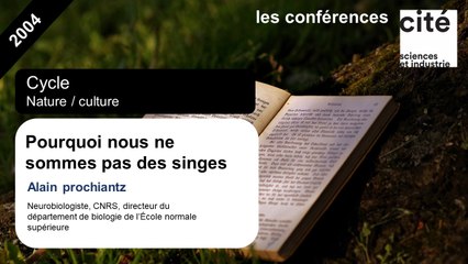 Pourquoi nous ne sommes pas des singes