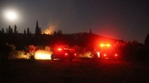 Bodrum’da kundaklama sonucu 10 hektarlık alan yandı