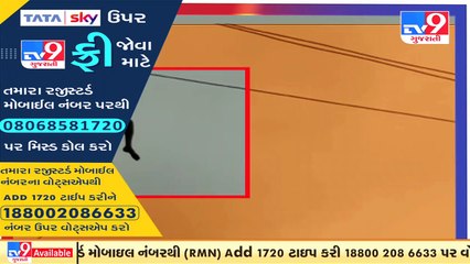 એનડીઆરએફ દ્વારા પાલઘર તાલુકાના વૈતરણા નદી ખાતે રેસ્ક્યુ ઓપરેશન _ Tv9