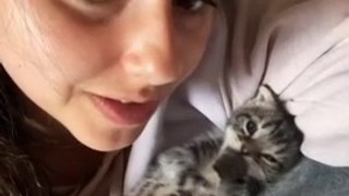 HARD DAY ? THESE CUTE PETS WILL CHEER YOU UP - Cutest Animals On TikTok #13