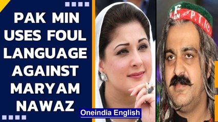 Pakistan minister uses sexist comments against PML-N leader Maryam Nawaz | Oneindia News