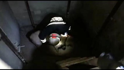 Asansör boşluğunda mahsur kalan köpek kurtarıldı