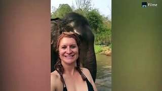Extremely funny video of elephants | amezing funny video | new funny video..