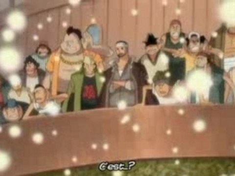 One piece Adieu Merry