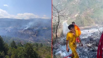 Suriye tarafında çıkan orman yangını Türkiye'ye sıçradı