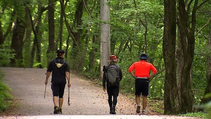 어디가 시원할까...코로나 속 가지각색 여름나기 / YTN
