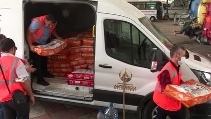 Altınordu Belediyesi Arhavi'deki sokak hayvanlarına mama desteğinde bulundu