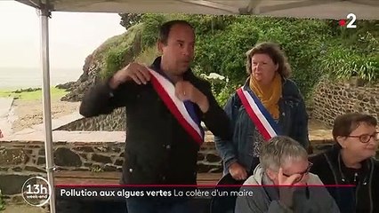 Côtes-d'Armor : à Hillion, on lutte contre les algues polluantes