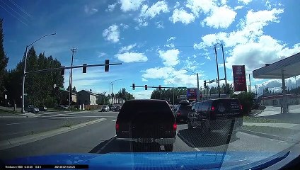 Traffic Halts for Crossing Duck Family