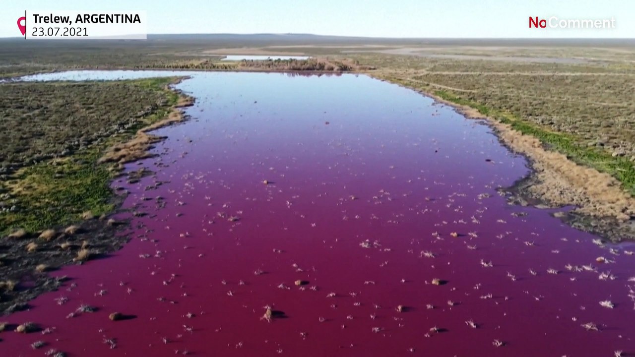 Lagoon in Argentine Patagonia turns pink due to pollution