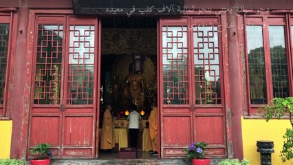 راهب يكرس حياته للاعتناء بالكلاب الشاردة في شنغهاي