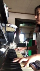 Playful Kitten Ambushes Piano Playing Owner