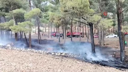 Son dakika haberi | Kahramanmaraş'ta orman yangını