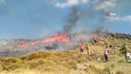 İzmarit yangını 18 dönümlük araziyi küle çevirdi