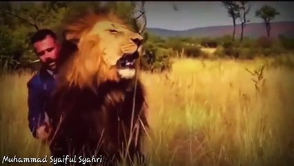 Momen pertemuan sang raja hutan dengan Tuan nya berpisah selama bertahun tahun