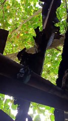 Our rented house is about to collapse