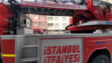 İSTANBUL - İtfaiye erleri, yangın çıkan binada dumandan etkilenen kedileri kurtardı