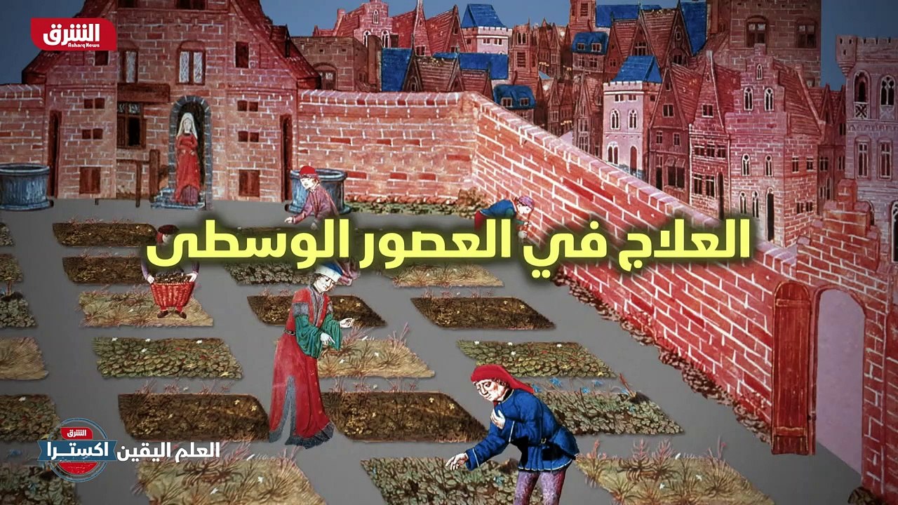تاريخ 360