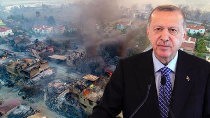 Yangın felaketiyle sarsılan Türkiye'ye 4 ülke yardım elini uzattı