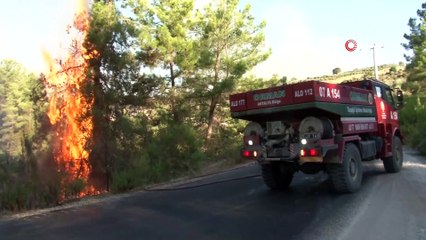 Orman işçisi yarasını sarıp, yangınla mücadeleye devam etti