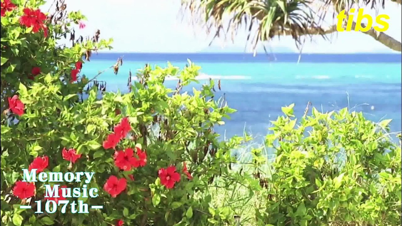 （たおやかインターネット放送)メモリーミュージック第１０７回夏の音楽特集Summer music feature