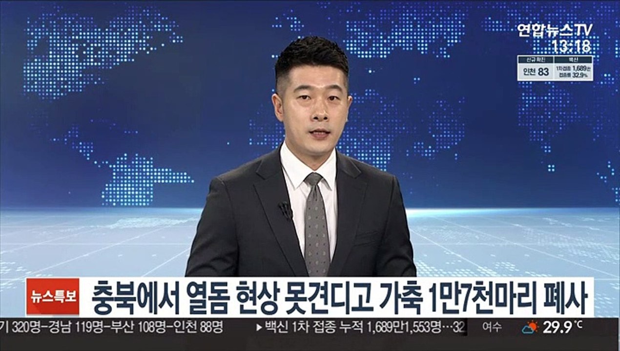 충북에서 열돔 현상 못 견디고 가축 1만7천마리 폐사