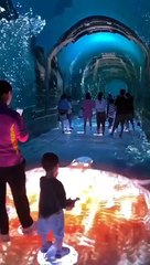 Amazing Visual Effects ✨