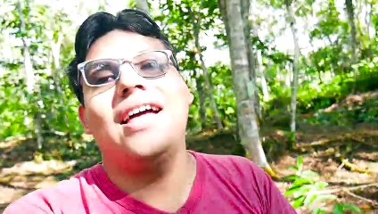 ENCONTRE UN ARBOL ENORME! / Maycol Rodriguez