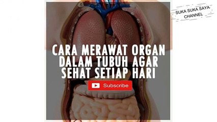 Tips Merawat Organ Dalam Tubuh -- Tips for Caring for Organs in the Body