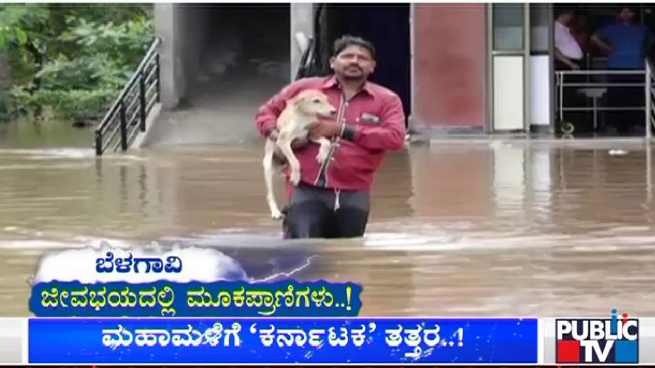 Youths Rescues A Dog From Flood In Belagavi District