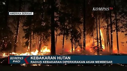 Insiden Kebakaran Besar di Hutan California AS, Radius Diperkirakan akan Membesar