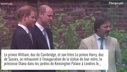 Prince Harry : 35 millions de dollars pour ses mémoires et un second tome publié après la mort d'Elizabeth II