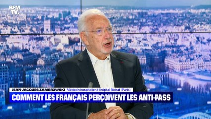 Les "pro-pass" majoritaires en France ? - 25/07