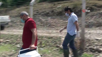 Alibeyköy Barajı’ndaki balık ölümleri ekipleri harekete geçirdi