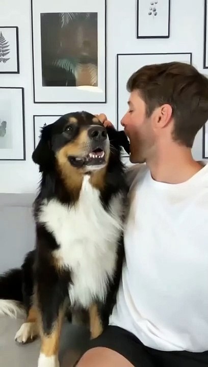 Funny videos