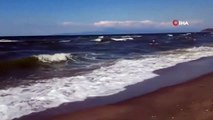 Mudanya sahillerinde denize girme yasağı uzatıldı