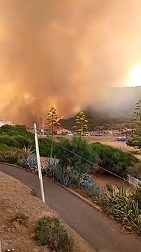 Sardegna, vasti incendi nella zona dell'Oristanese