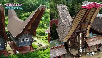 [연합뉴스TV 스페셜] 188회 : "방역수칙 꼭 지켜요!" 여름휴가 新풍속도