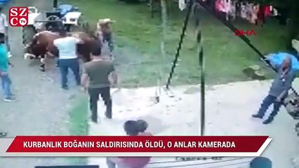 Kurbanlık boğanın saldırısında öldü