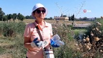 İspanyol öğretim görevlisi doğaseverlerle Tunca Nehri'nde temizlik yaptı