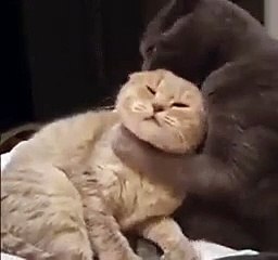 Come, my love, what are you tired of yourself